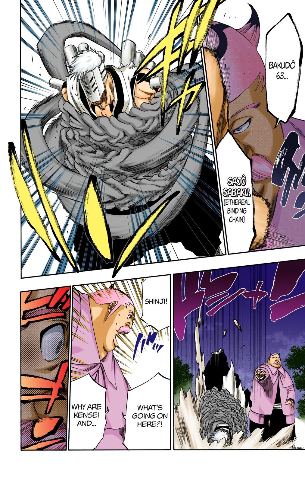 Bleach (Color) Chapter 315.8 - Page 16