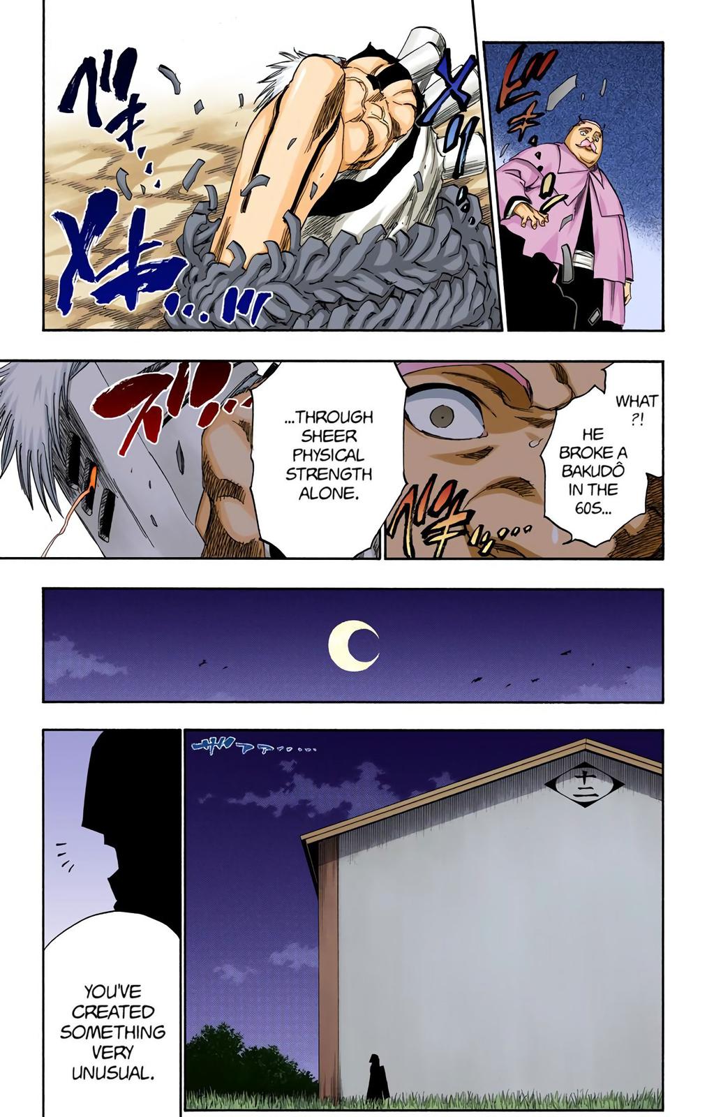 Bleach (Color) Chapter 315.8 - Page 17
