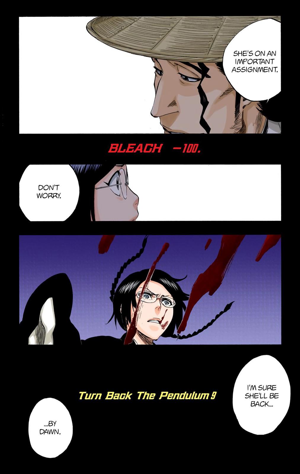 Bleach (Color) Chapter 315.9 - Page 6
