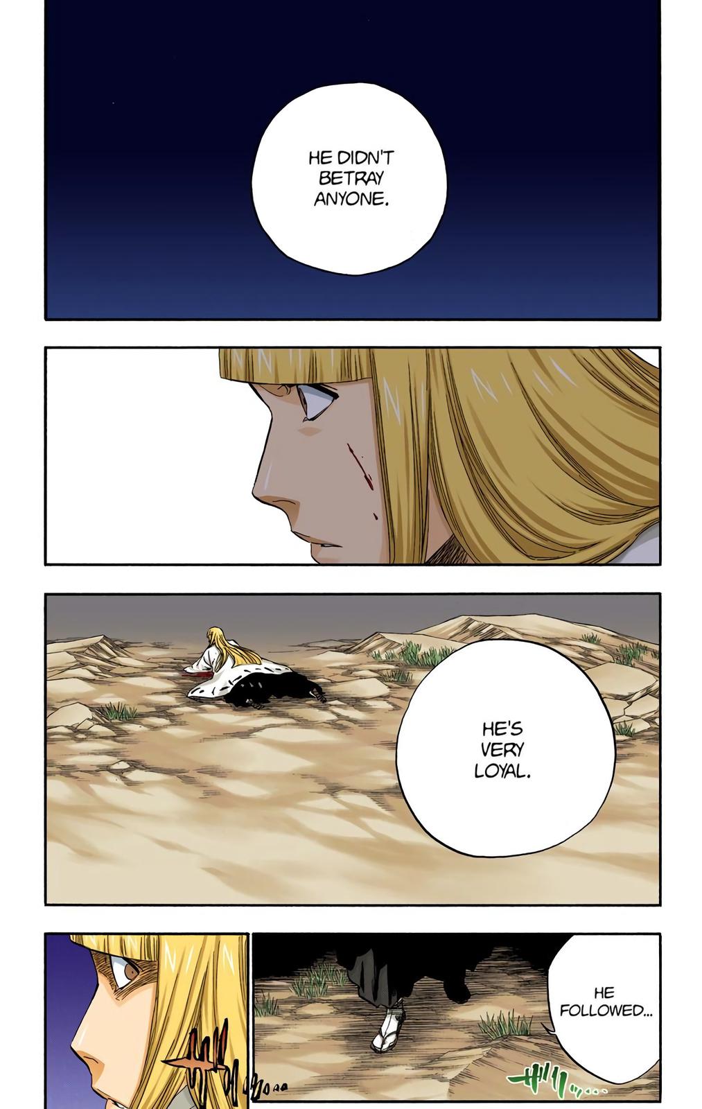 Bleach (Color) Chapter 315.9 - Page 17