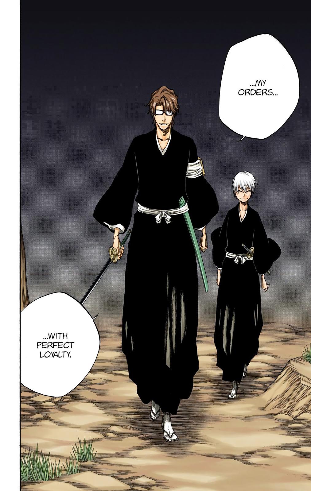 Bleach (Color) Chapter 315.9 - Page 18