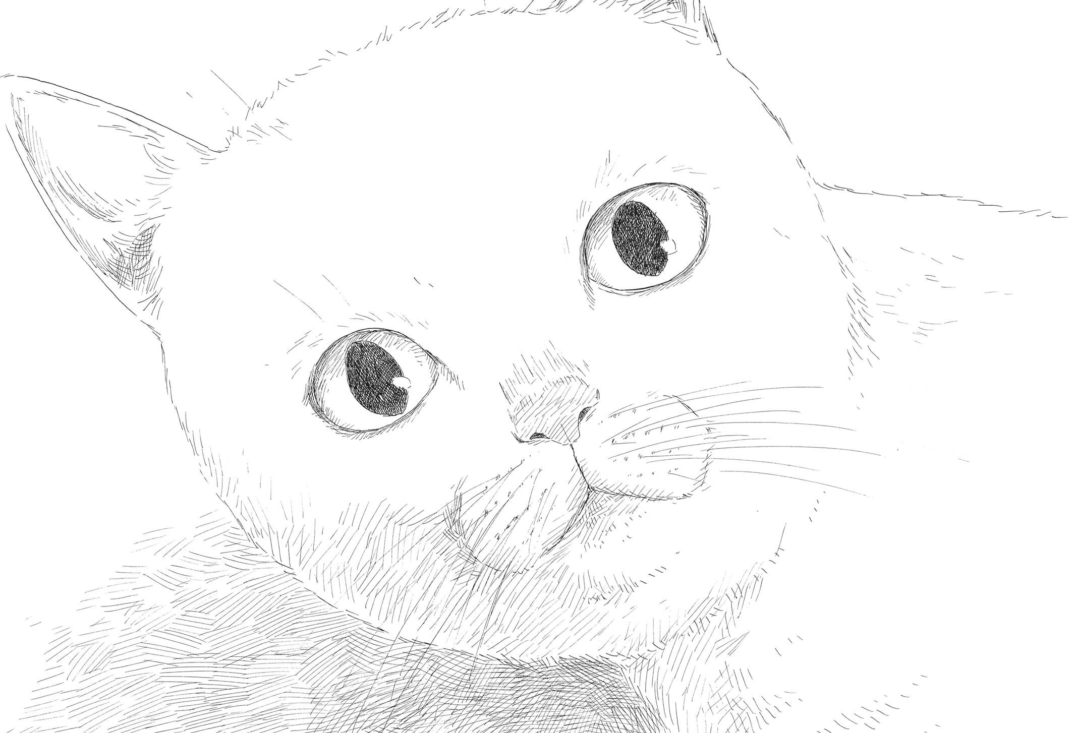 Blood on the Tracks Chapter 138 - Page 16