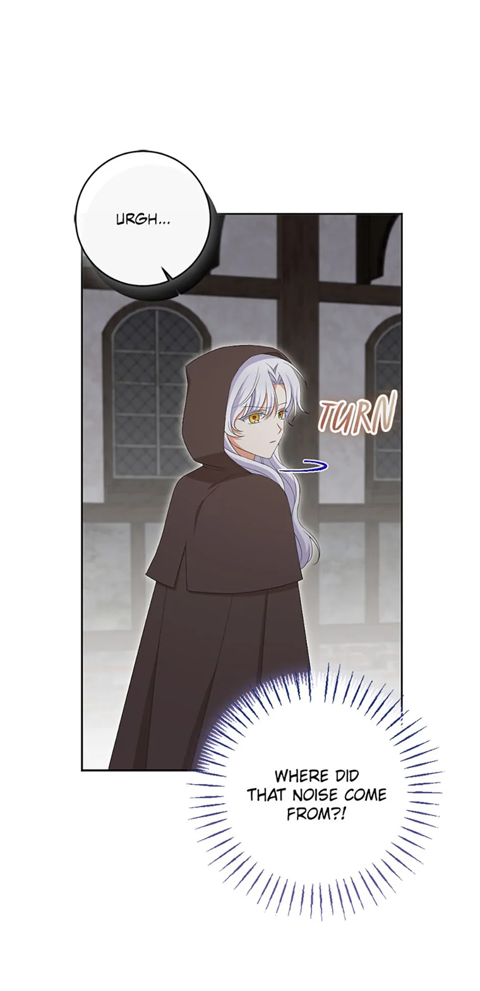 Born as the Daughter of a Wicked Woman - Chapter 86 - 13