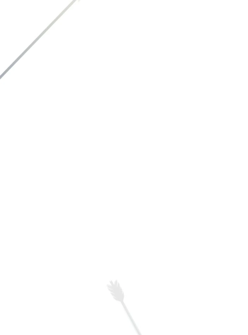 Camellia Chapter 50 - Page 64