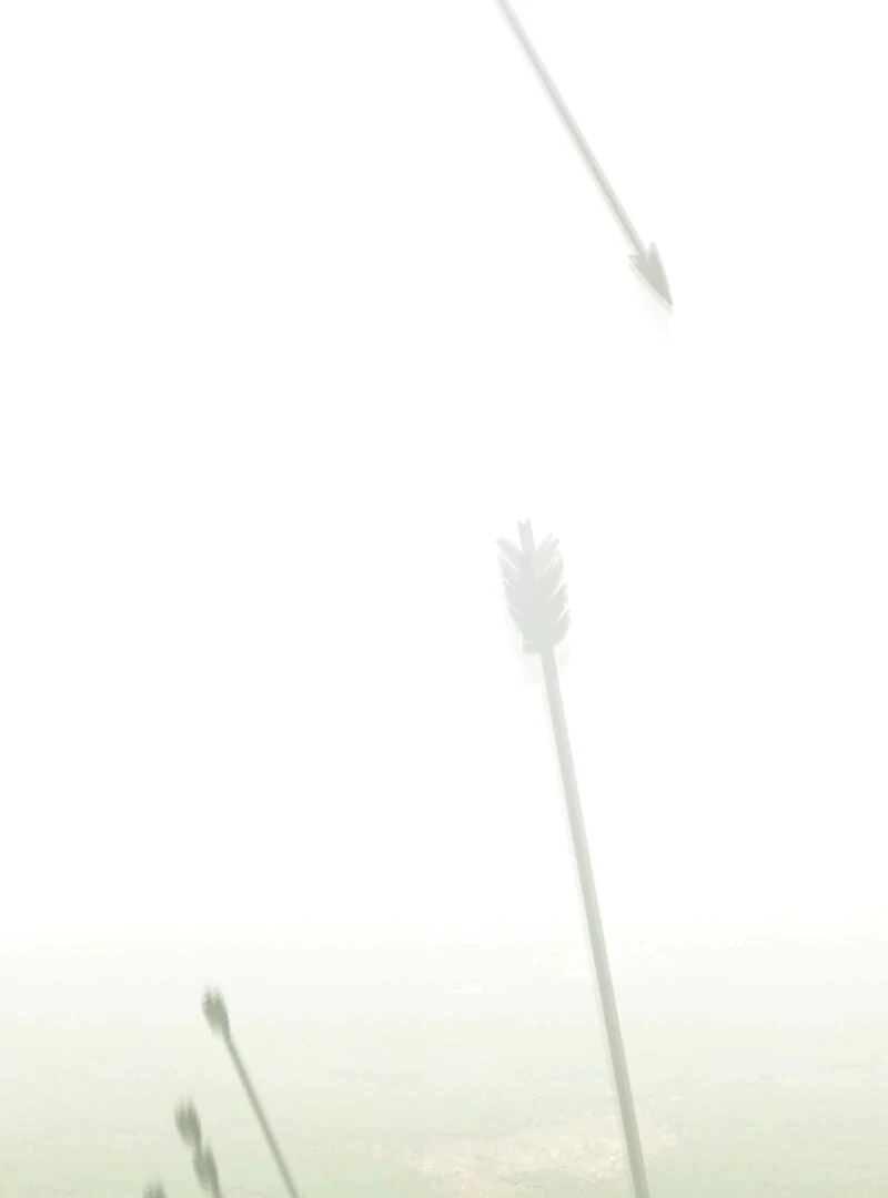 Camellia Chapter 50 - Page 65