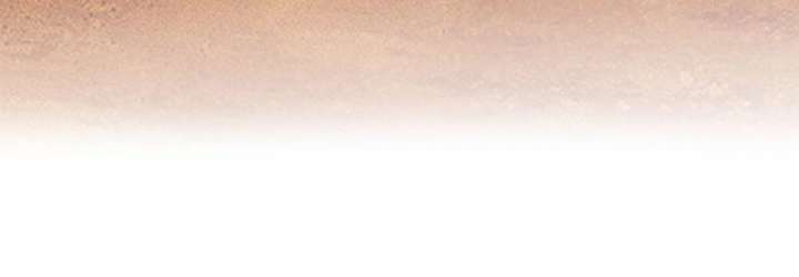 Camellia Chapter 52 - Page 48