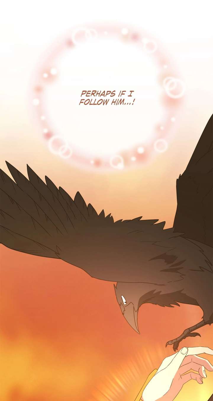 Camellia Chapter 52 - Page 49