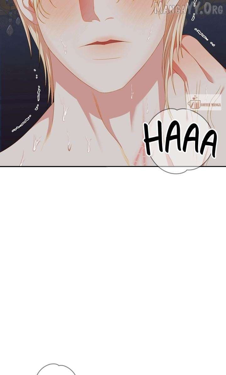 Cassnier’s Secret Memoirs Chapter 49 - Page 17