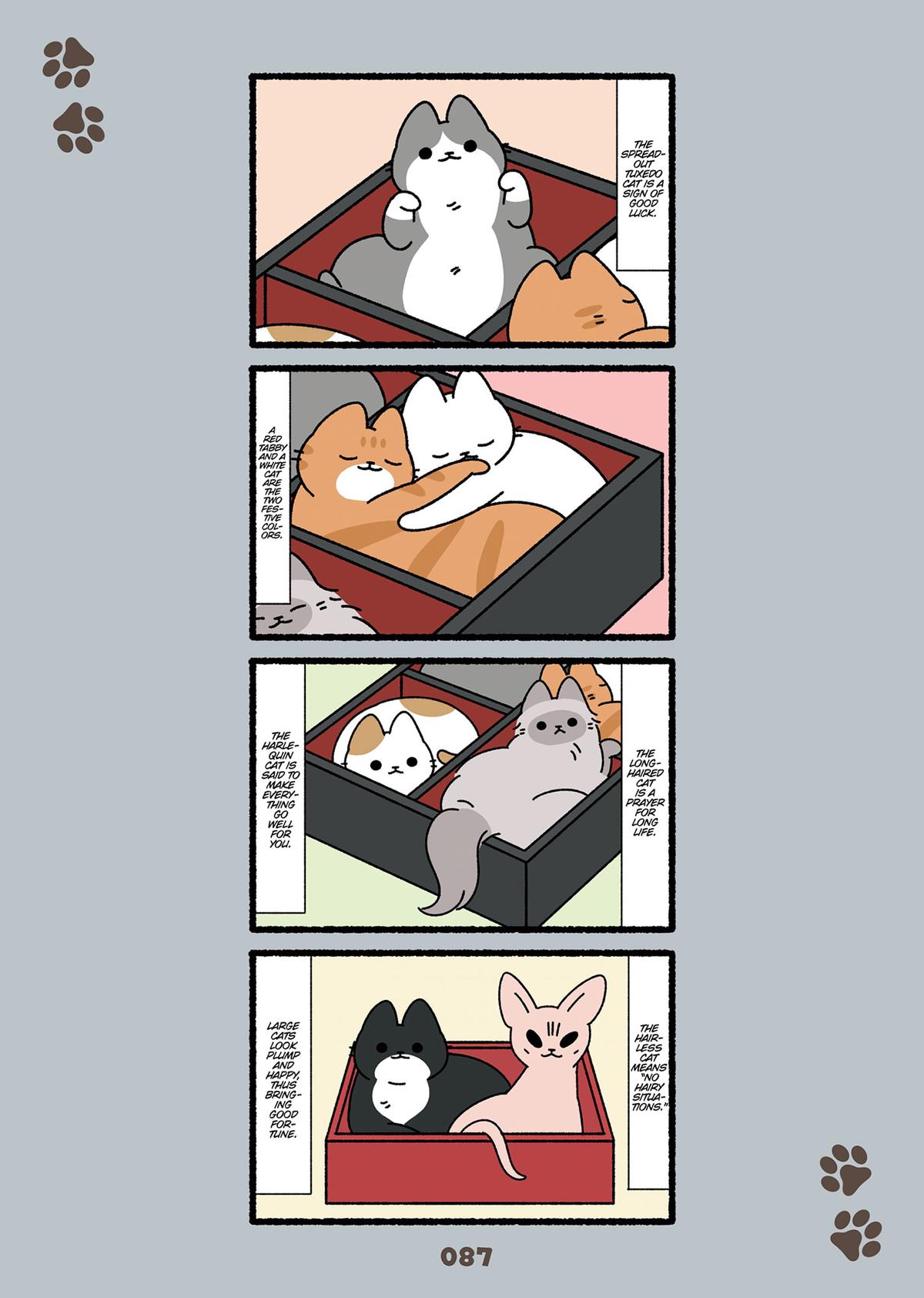 Cats With Jobs Chapter 16 - Page 5