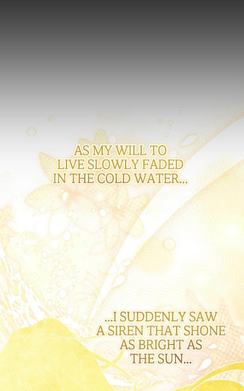 Caught in the Dark Navy Admiral’s Net Chapter 2 - Page 52