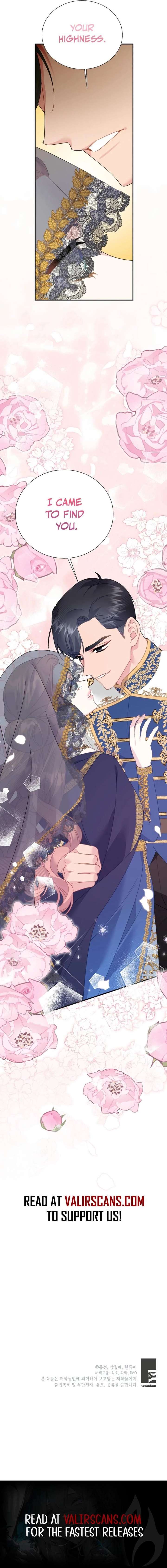 Cavier Falcon Princess Chapter 149 - Page 19