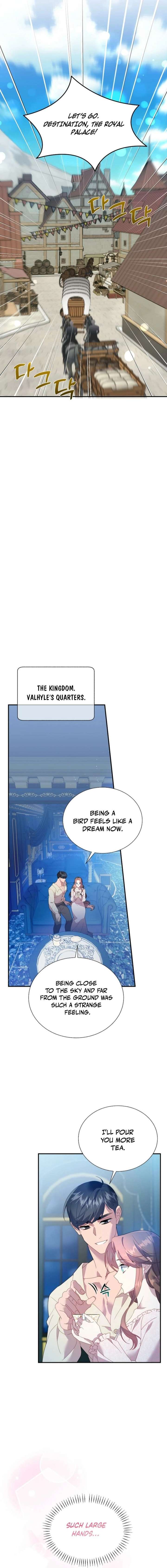 Cavier Falcon Princess Chapter 154 - Page 11