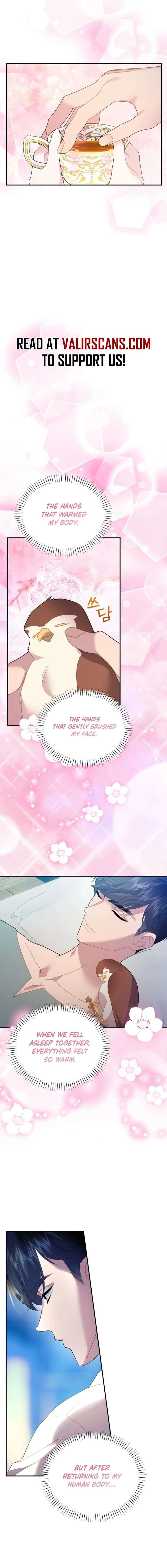 Cavier Falcon Princess Chapter 154 - Page 12