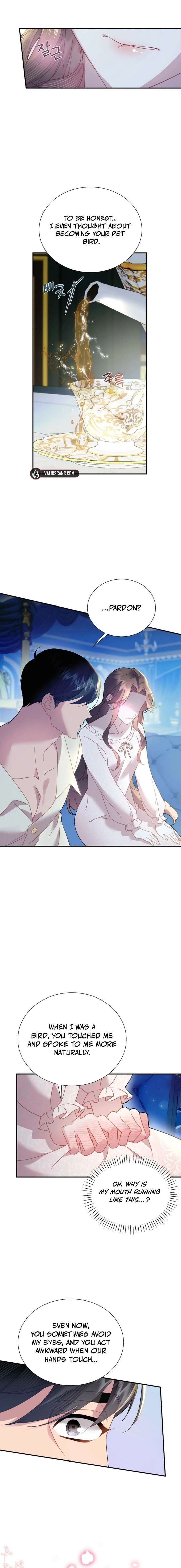 Cavier Falcon Princess Chapter 154 - Page 13