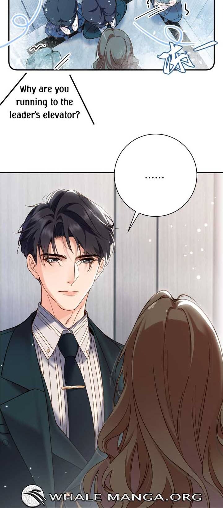 Chief’s Cute Baby: Buy One Get One Free Chapter 2 - Page 15