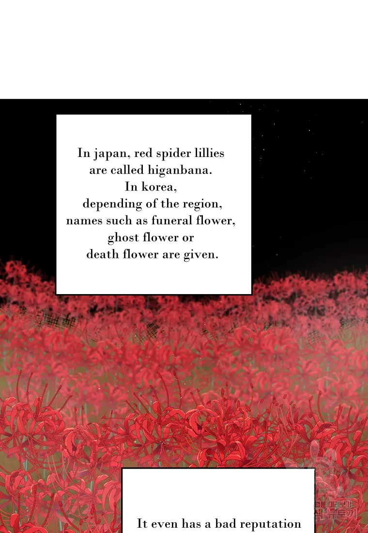 Chitra Chapter 175 - Page 18