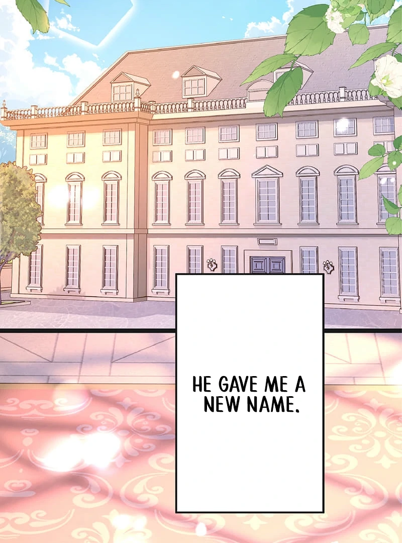 Cradle of the Beast Witch Chapter 6 - Page 119