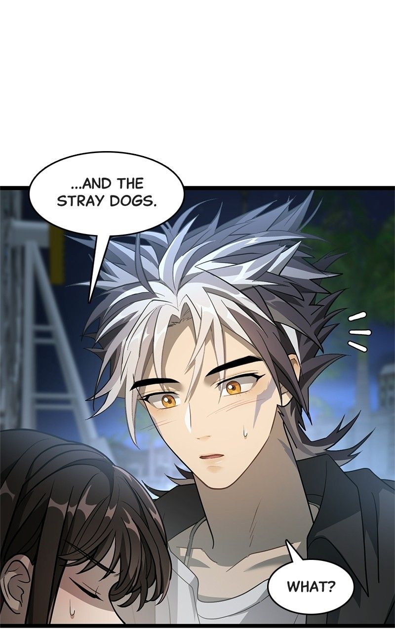 Dark Moon: The Blood Altar Chapter 13 - Page 41