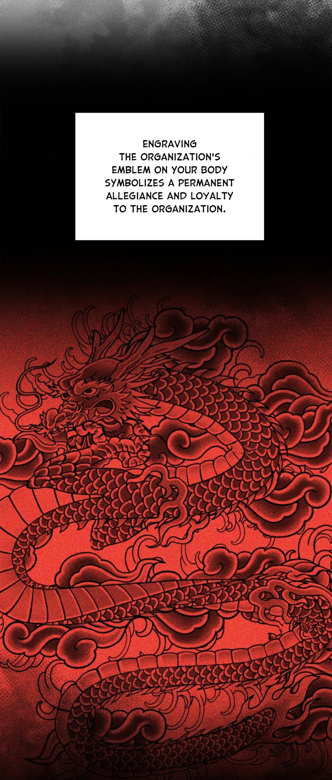 Dawn After Darkness Chapter 55 - Page 4