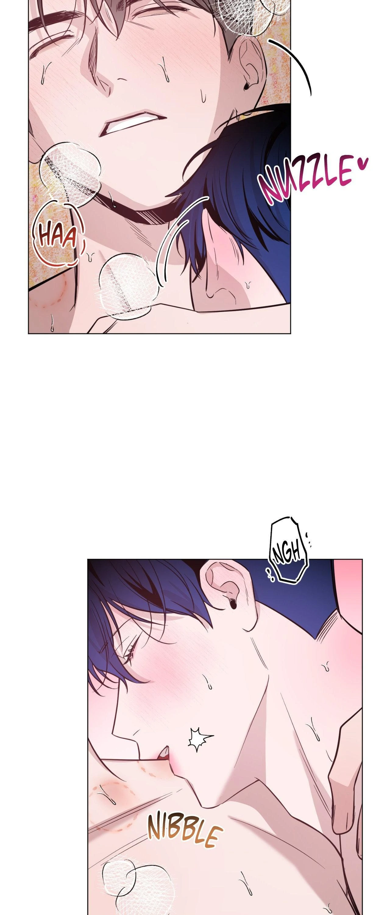 Dawn After Darkness Chapter 63 - Page 36