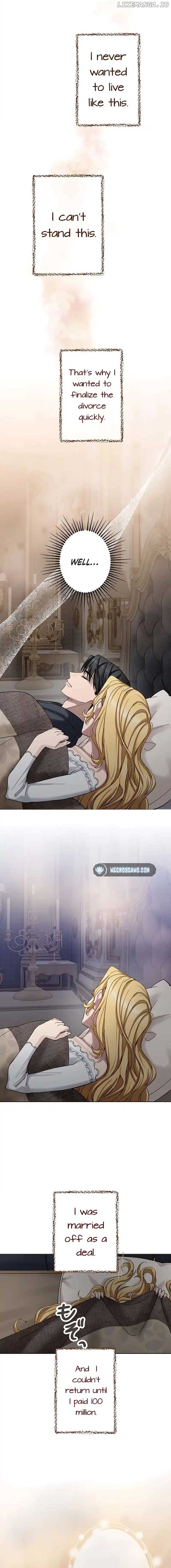 Dear Husband, I’ll Earn Money and Get a Divorce! Chapter 17 - Page 11