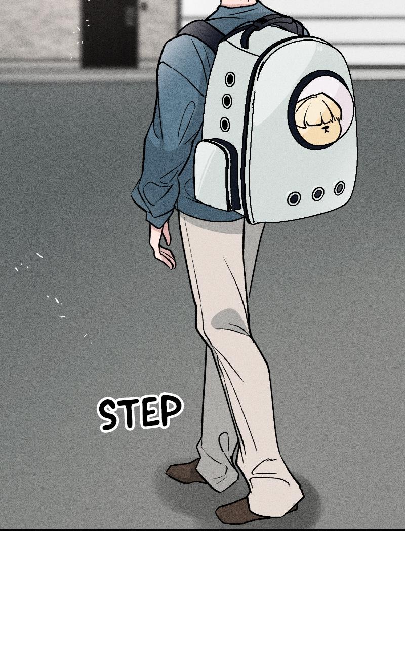 Devilish Son-In-Law Chapter 6 - Page 8