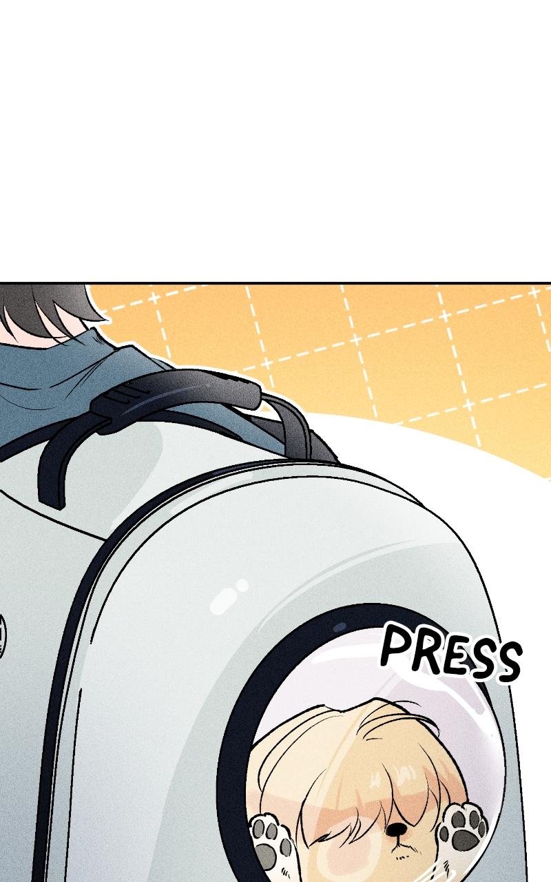 Devilish Son-In-Law Chapter 6 - Page 10