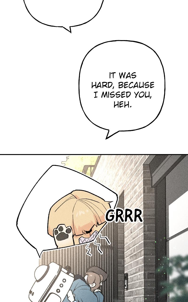 Devilish Son-In-Law Chapter 6 - Page 14