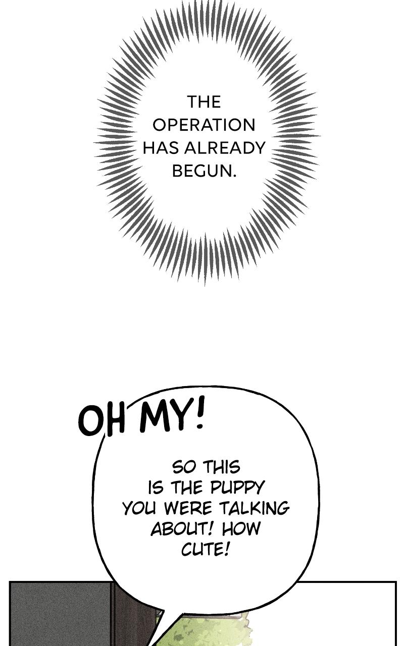 Devilish Son-In-Law Chapter 6 - Page 19