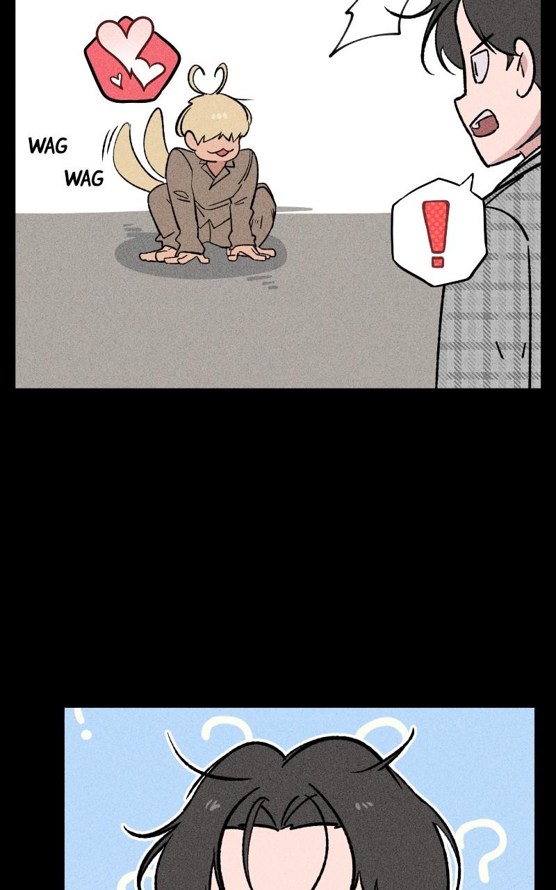 Devilish Son-In-Law Chapter 16 - Page 20