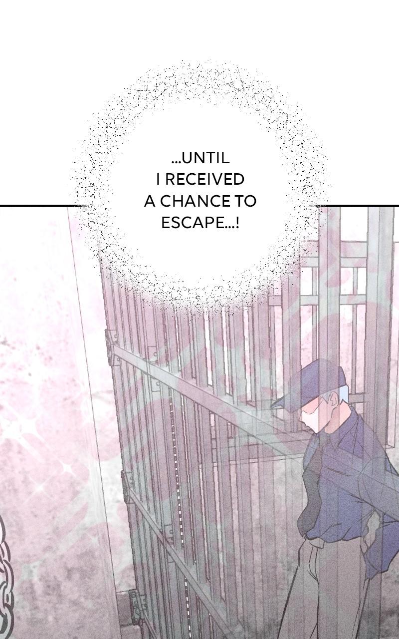 Devilish Son-In-Law Chapter 17 - Page 15