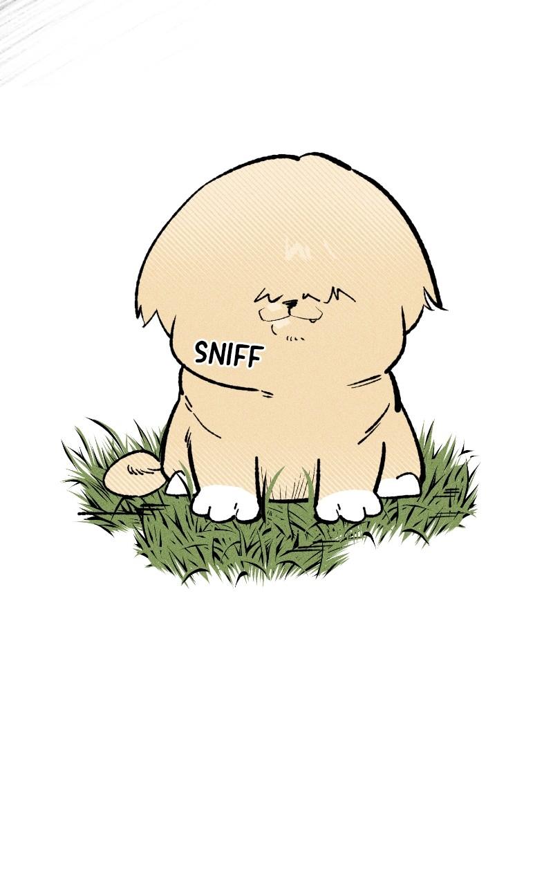 Devilish Son-In-Law Chapter 23 - Page 11