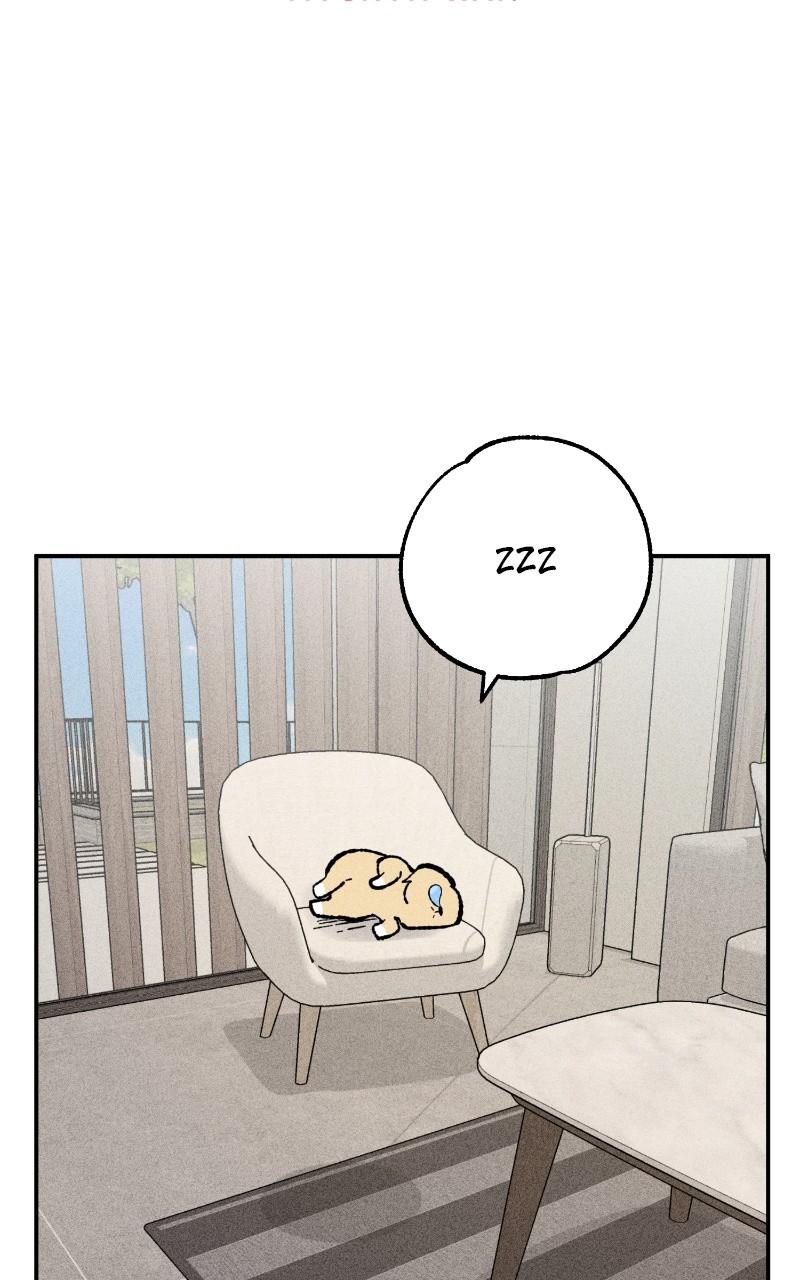 Devilish Son-In-Law Chapter 23 - Page 17