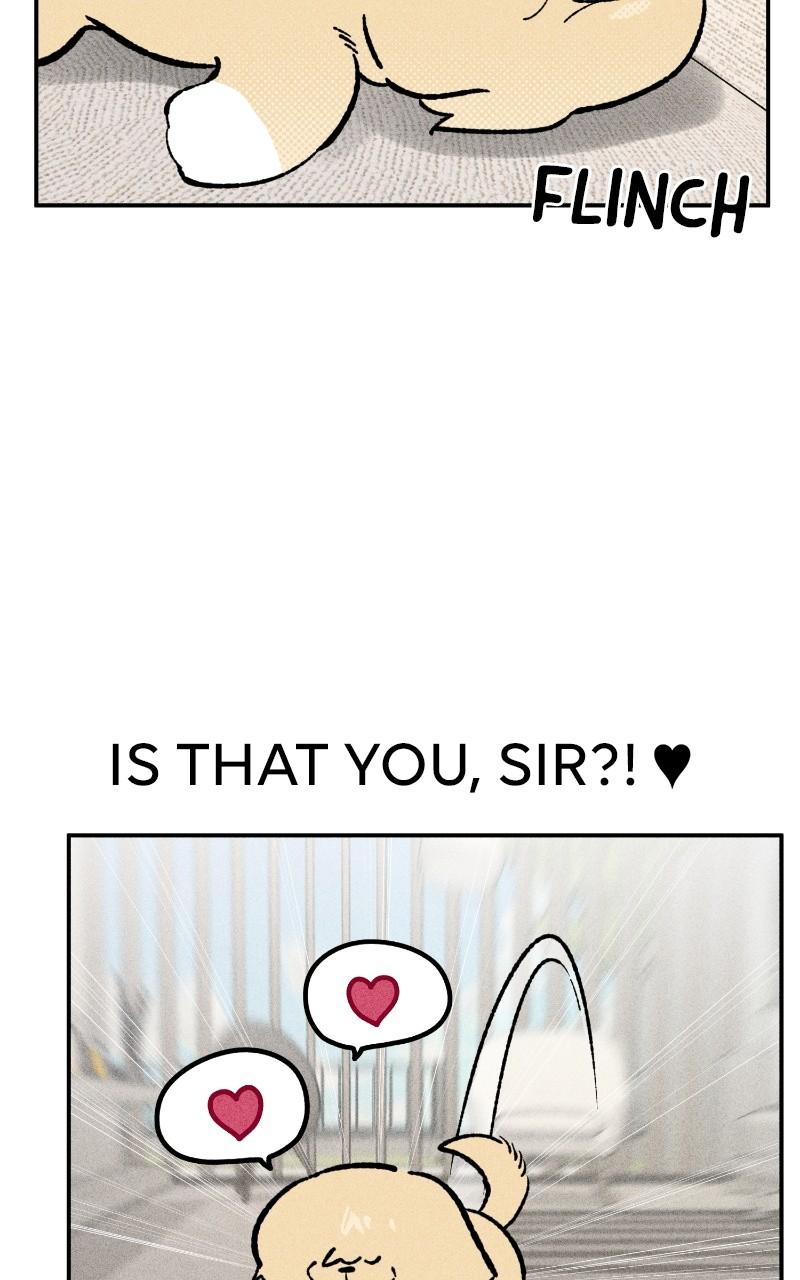 Devilish Son-In-Law Chapter 23 - Page 19