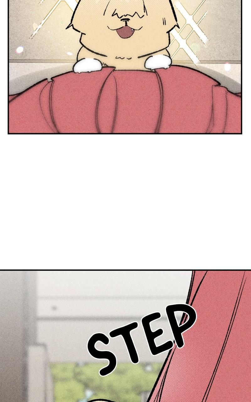 Devilish Son-In-Law Chapter 23 - Page 21