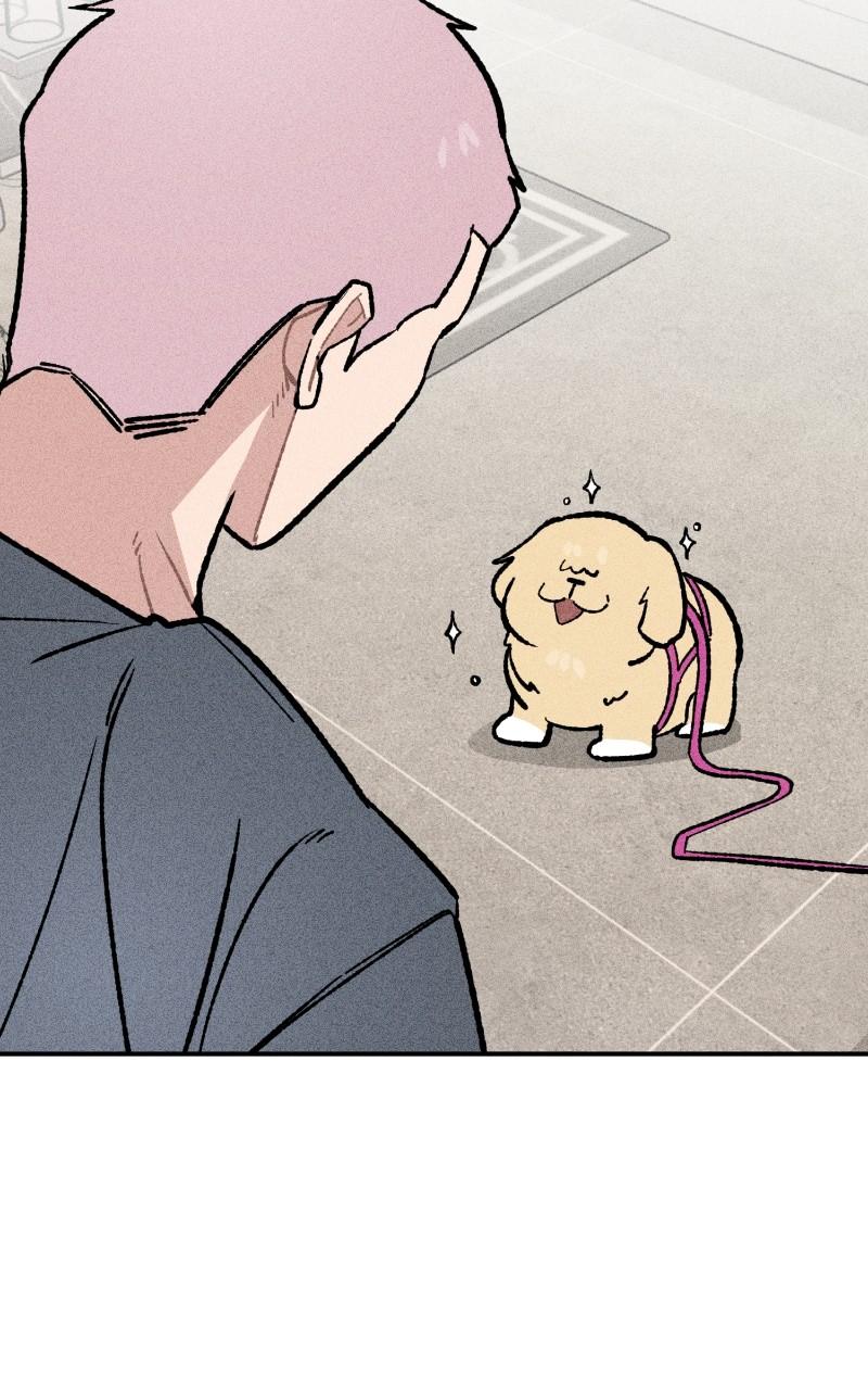 Devilish Son-In-Law Chapter 23 - Page 71