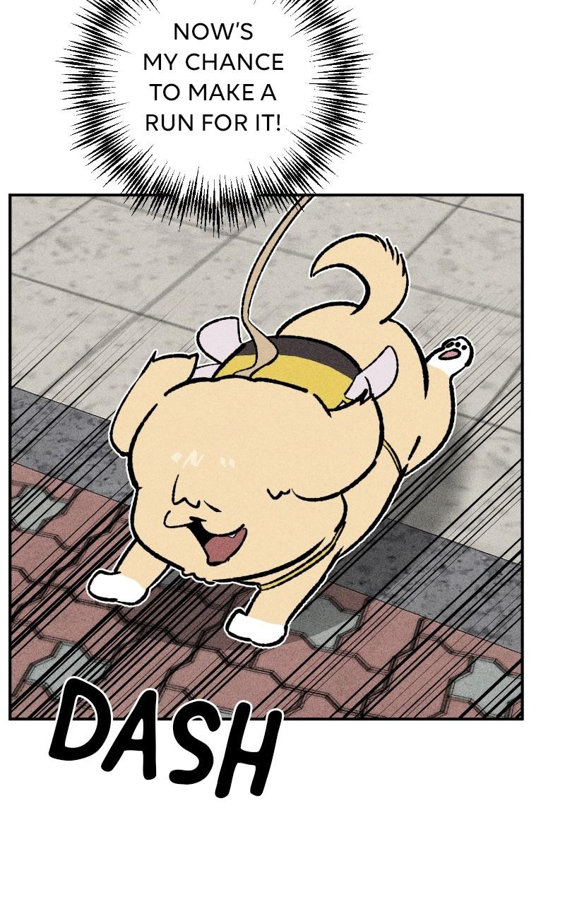 Devilish Son-In-Law Chapter 24 - Page 27