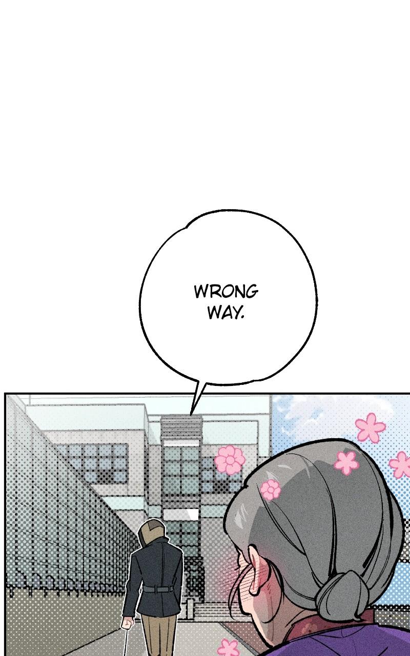 Devilish Son-In-Law Chapter 24 - Page 29