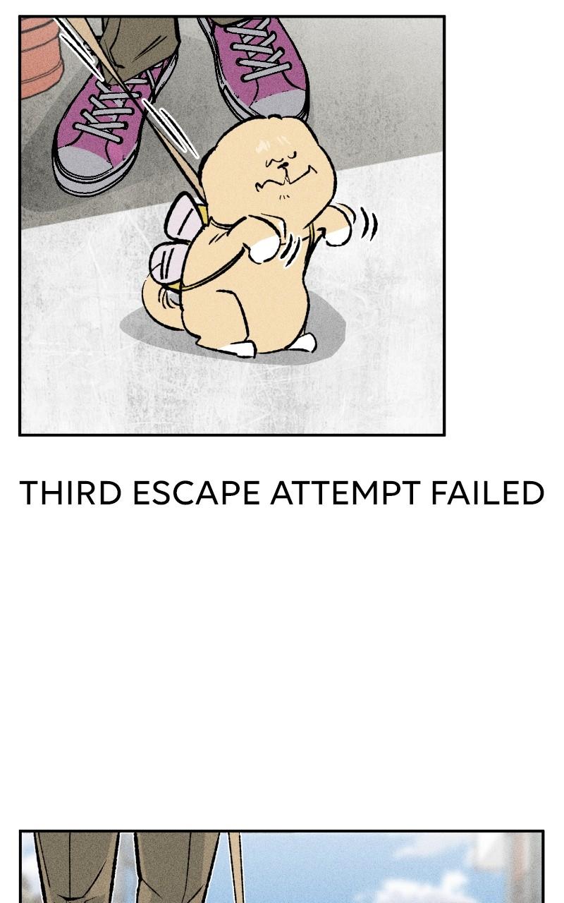 Devilish Son-In-Law Chapter 24 - Page 37