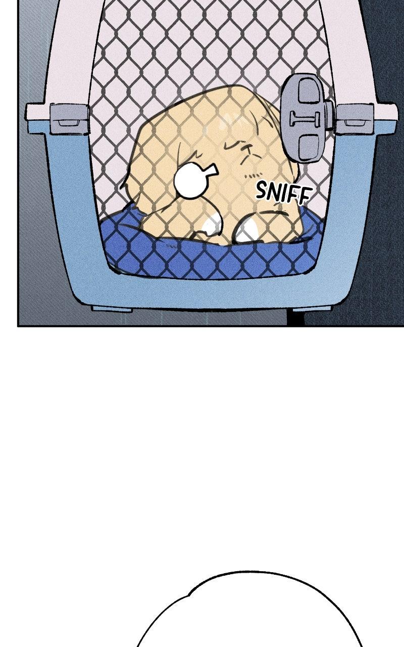 Devilish Son-In-Law Chapter 28 - Page 21