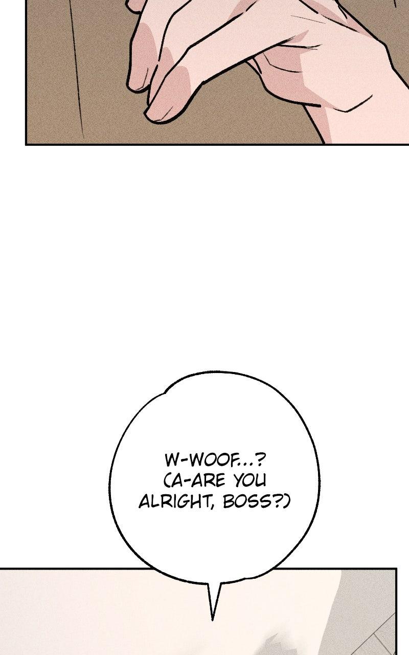 Devilish Son-In-Law Chapter 50 - Page 69