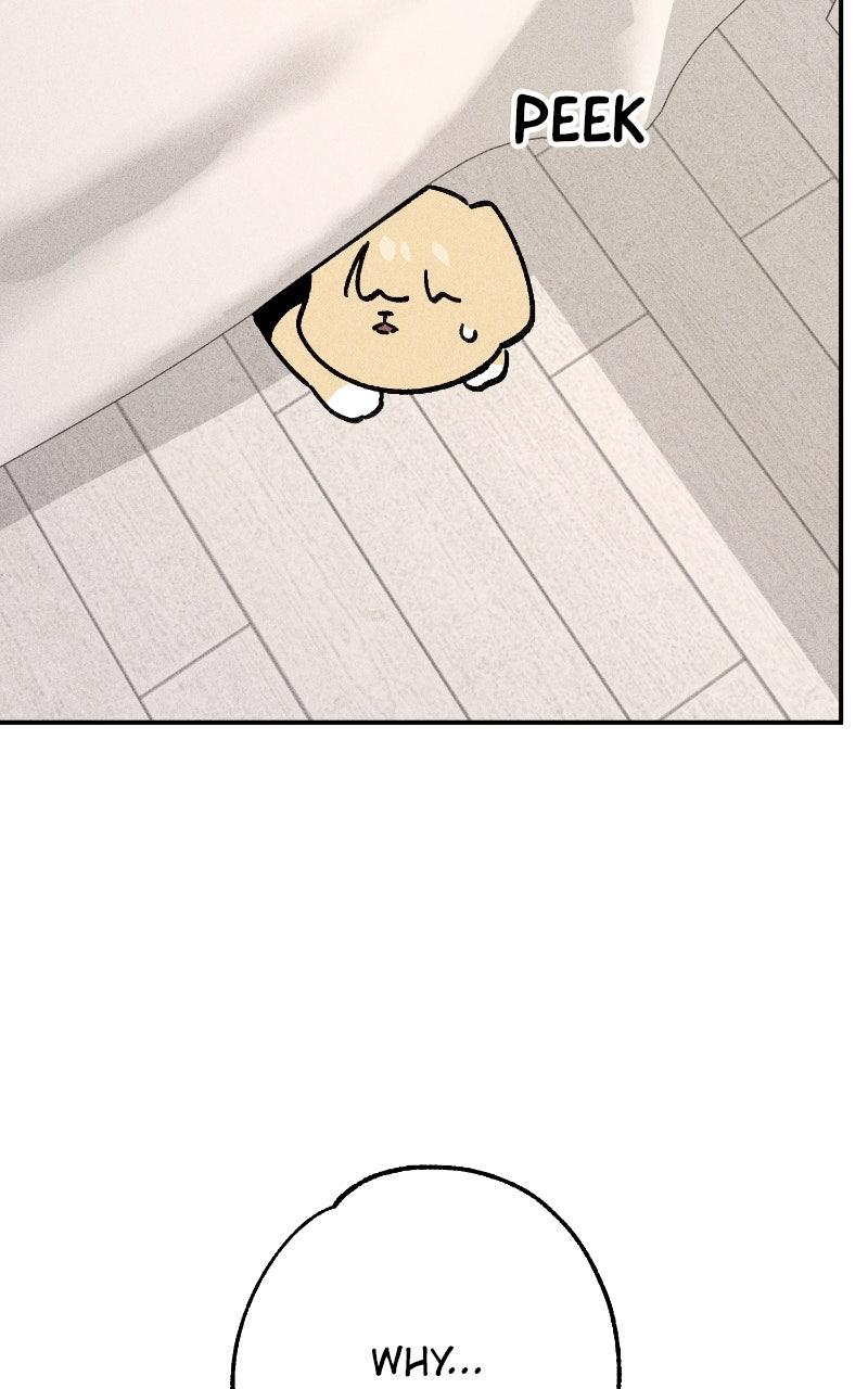 Devilish Son-In-Law Chapter 50 - Page 70