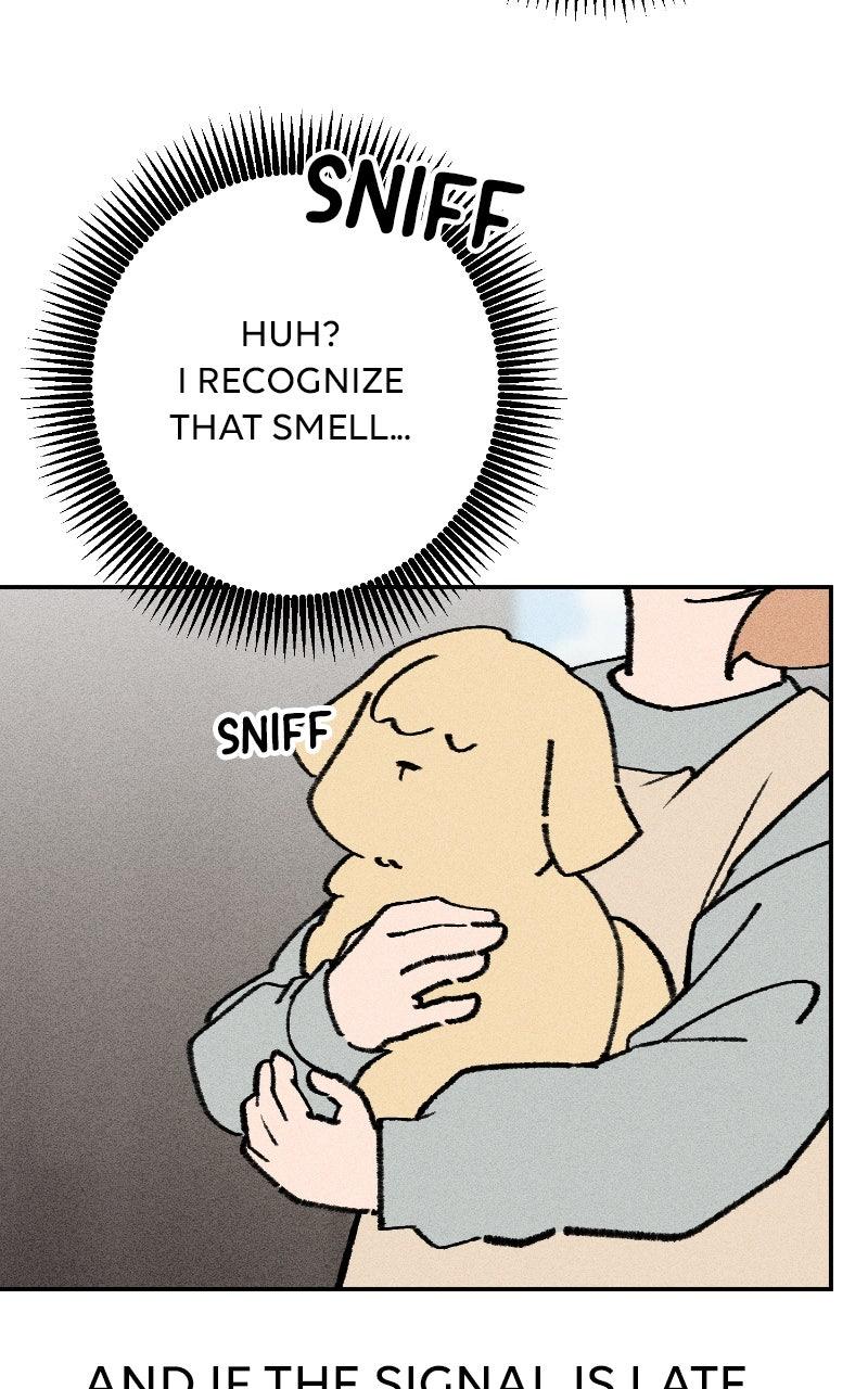 Devilish Son-In-Law Chapter 55 - Page 49