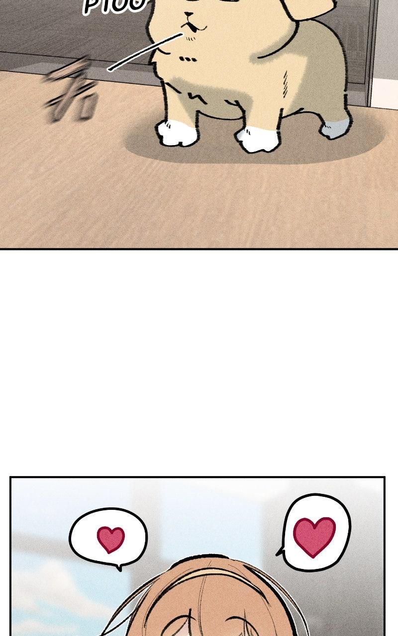 Devilish Son-In-Law Chapter 60 - Page 14