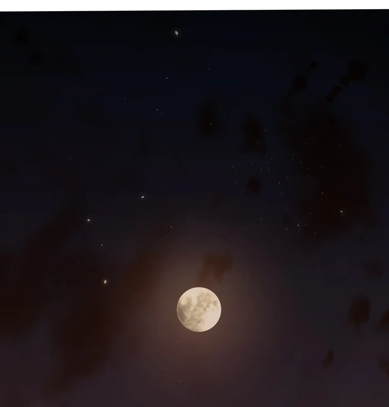 Devil’s Luck Chapter 56 - Page 16