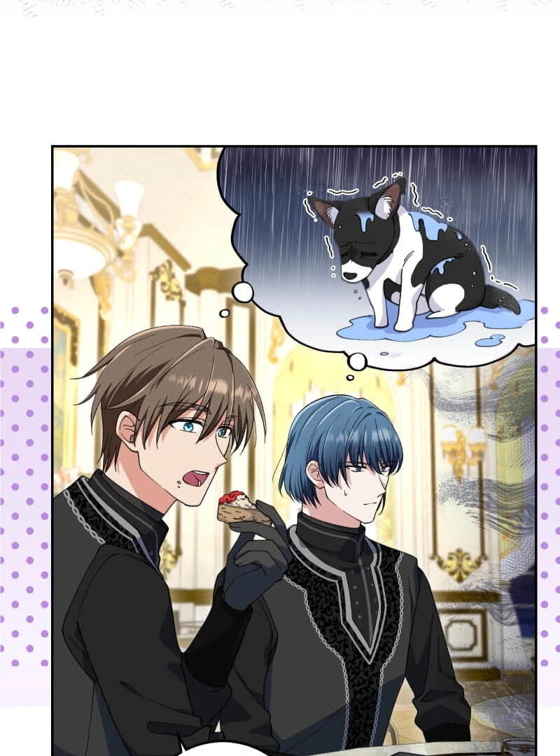 Did You Like Me? Chapter 25 - Page 84