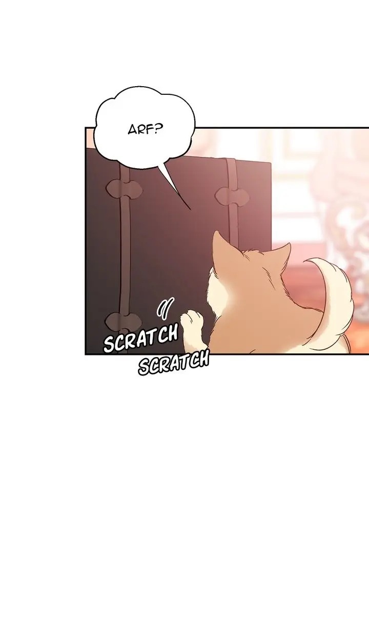 Doctor Elise: The Royal Lady With The Lamp Chapter 131 - Page 5