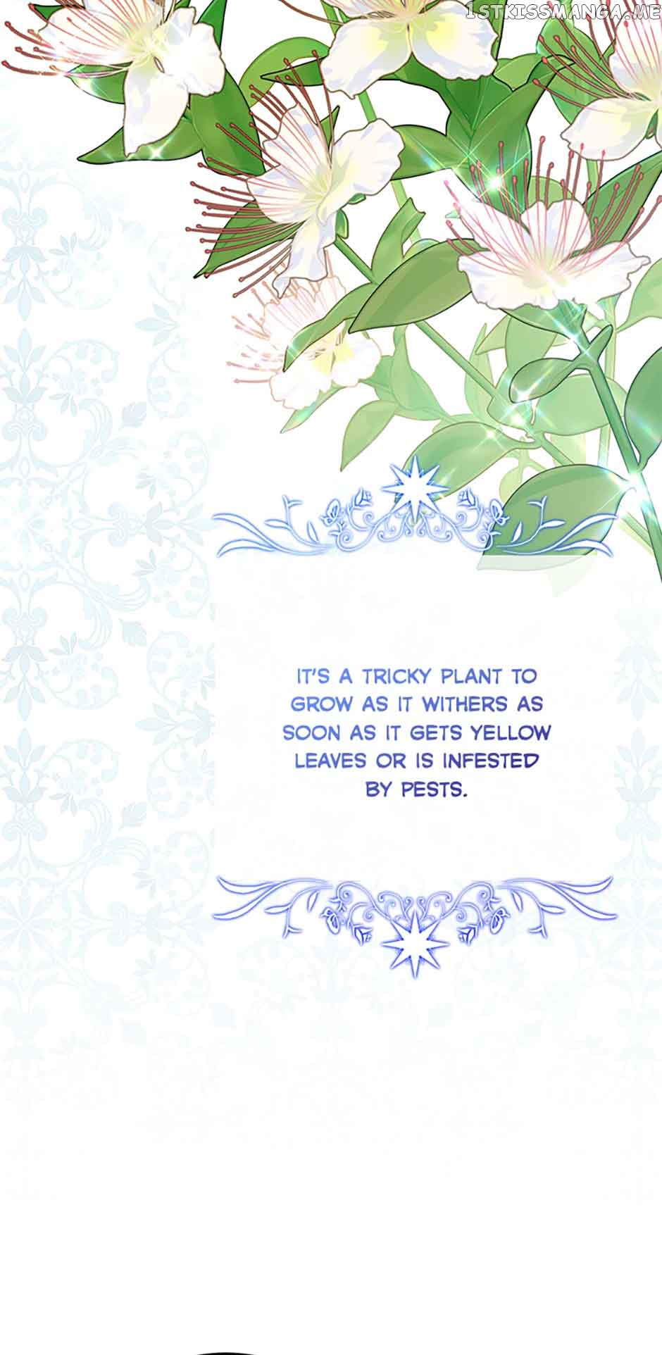 Doctor Resignation Chapter 39 - Page 6