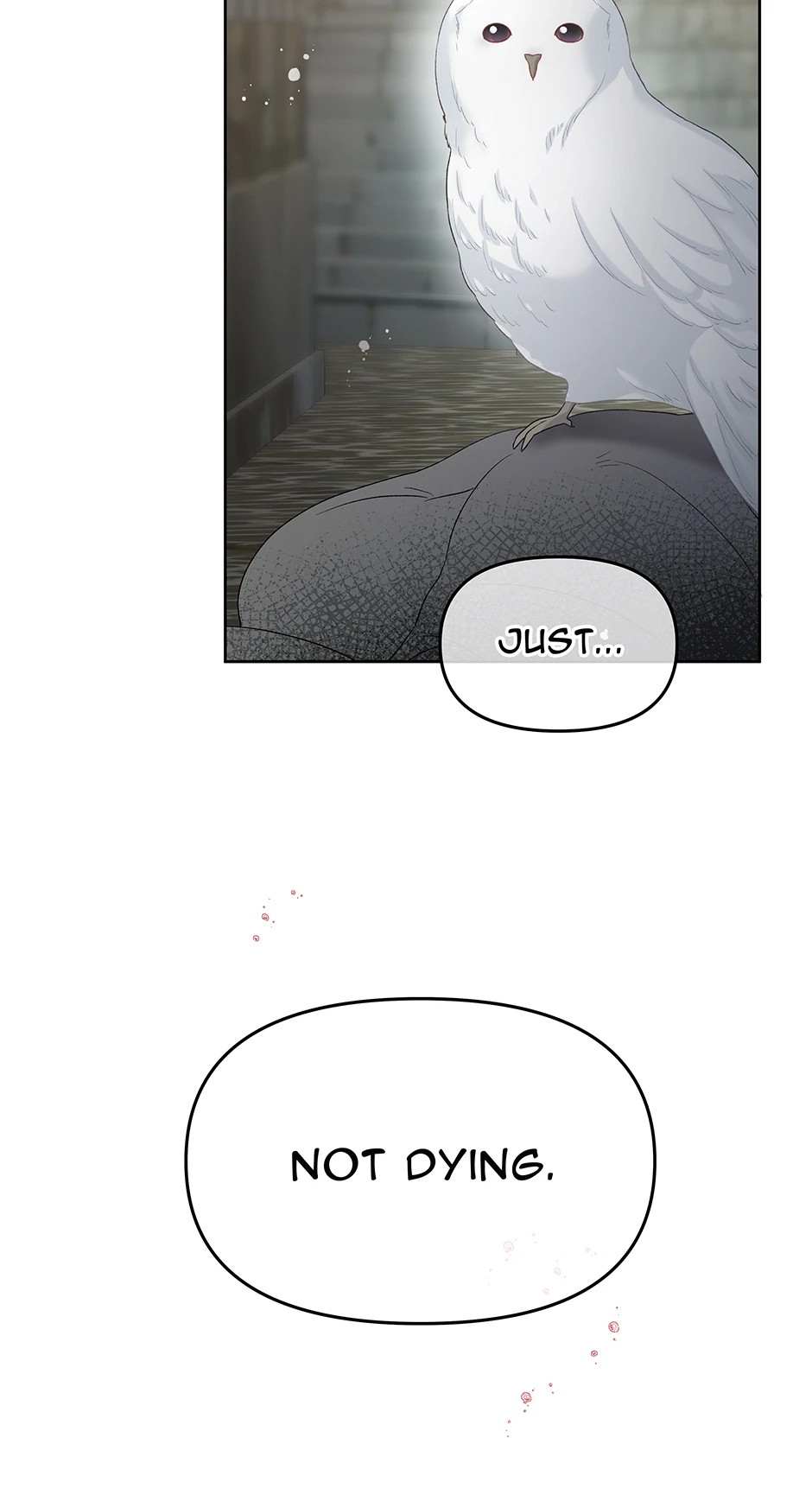 Don’t Concern Yourself With That Book Chapter 70 - Page 49