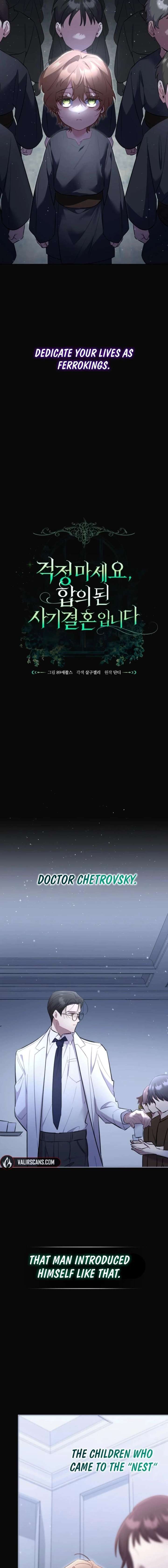 Don’t Worry, We Both Agreed to this Fraudulent Marriage Chapter 53 - Page 13